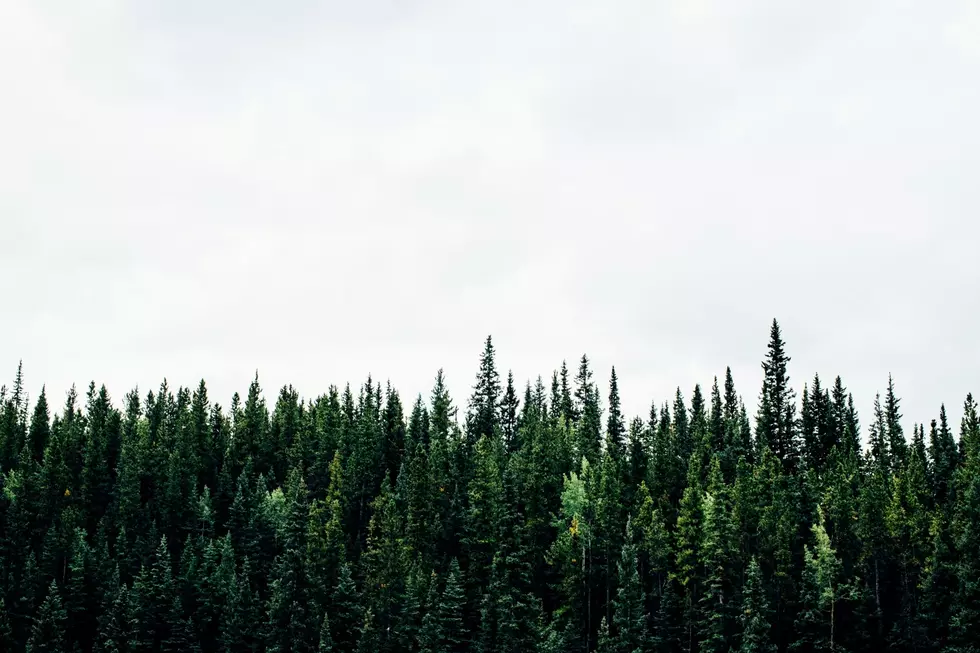 Unsplash: Michael Benz