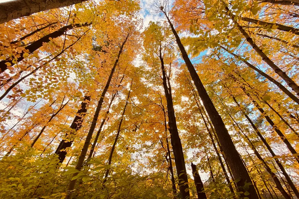 Idaho's South Hills Are Glorious Right Now: Resident Shares Pics