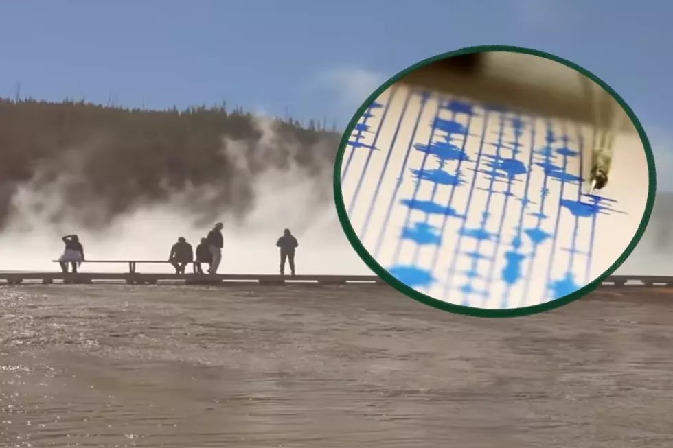 Yellowstone Burst Could Hit 1 Billion Early Deaths, Say Scholars