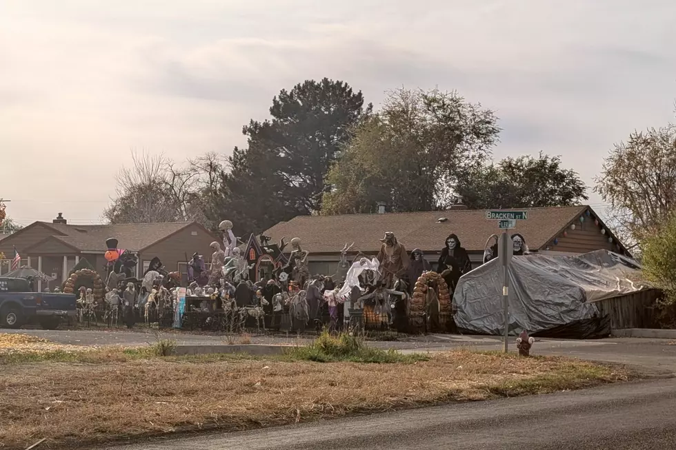 PHOTOS: Twin Falls ID Bracken St. Home Is Winning At Halloween