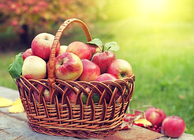 Peddler’s Village Annual Apple Festival Is Happening This Weekend