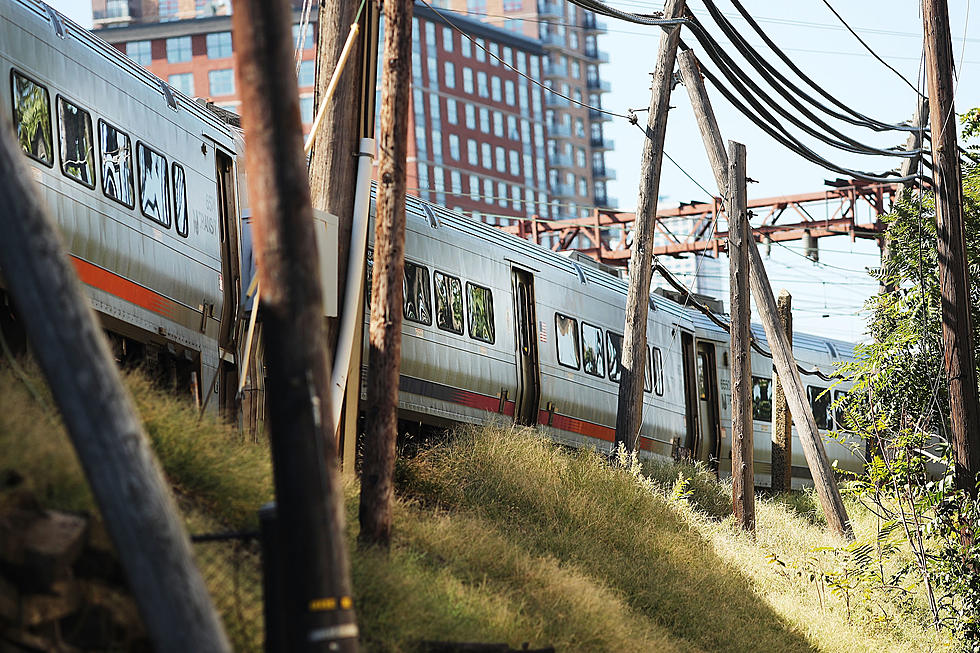 NJ Transit Conductor Stopped Trains to Save a Dog on the Tracks!