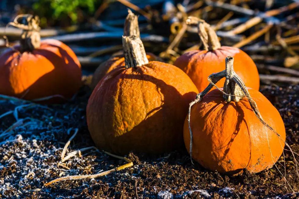 Thursday Will Be The Coldest Thanksgiving Day EVER In Our Area