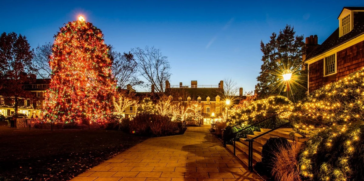 Attend Palmer Square's Holiday Tree Lighting In Princeton, NJ
