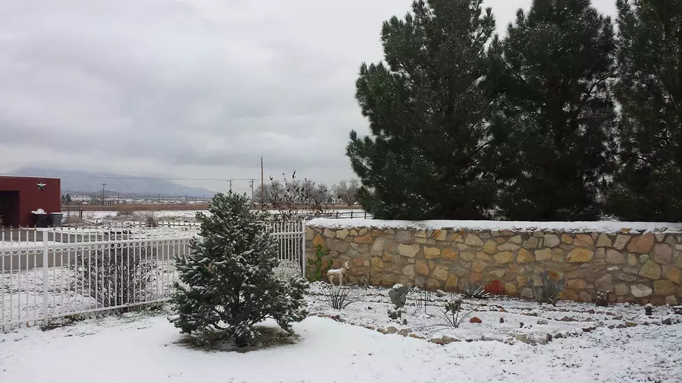 It’s 52 Degrees in Trenton, But It Just Snowed in El Paso, TX