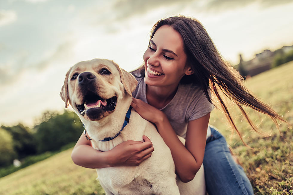 Dogs May Be Allowed in NJ Breweries Soon