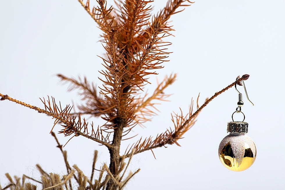 If Your Christmas Decorations Are Still Up, You May Have Bad Luck