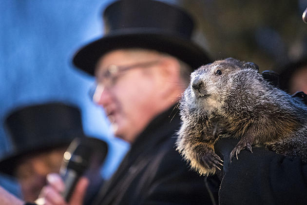 Groundhog Day 2019: Did the Groundhog See His Shadow?