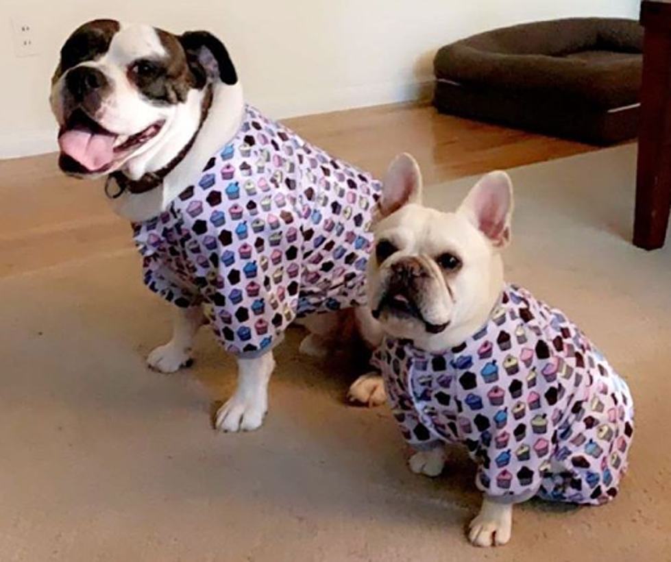 What&#8217;s Up With That &#8220;Pups In Pajamas&#8221; Billboard?