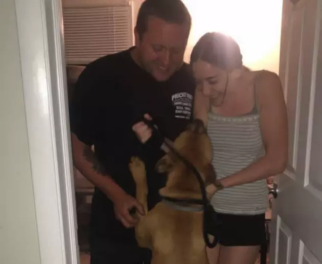 After 2 Weeks, Lost Dog at Jersey Shore Reunited With Owners