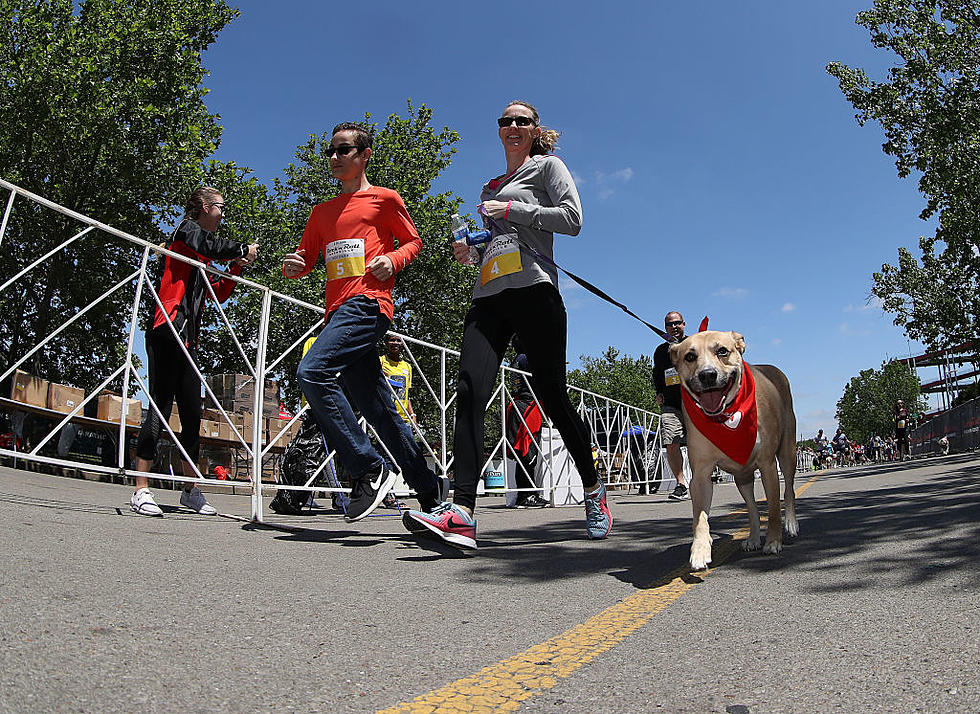 A Doggie Dash Is Happening In Wildwood