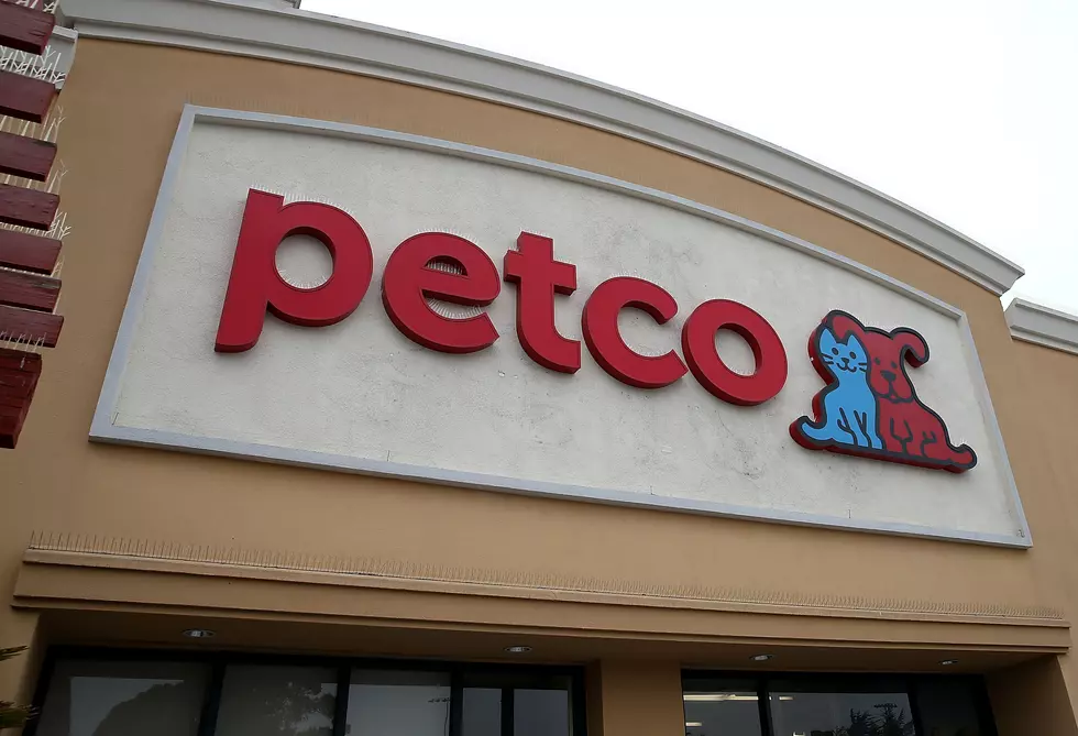 Free Puppy Play Time at Petco in East Windsor