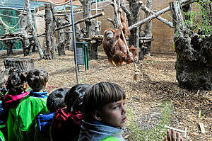 Philadelphia Zoo Offering Overnight Kids Camp