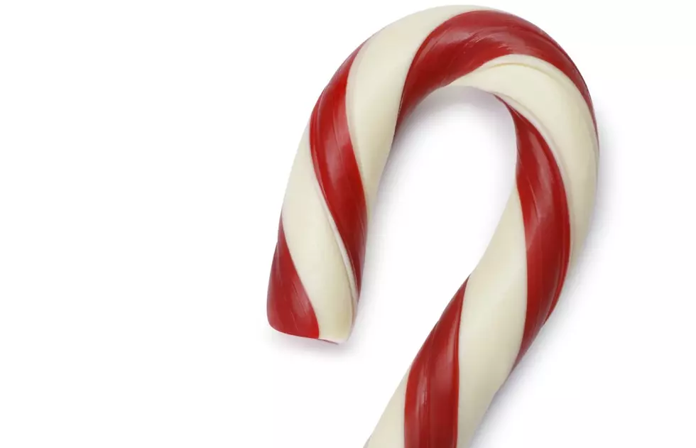 NJ Pastry Chef Shares Candy Cane Dessert on Good Day