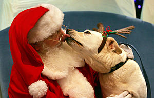 Your Dog Can get their Picture Taken with Santa in Philly This Weekend