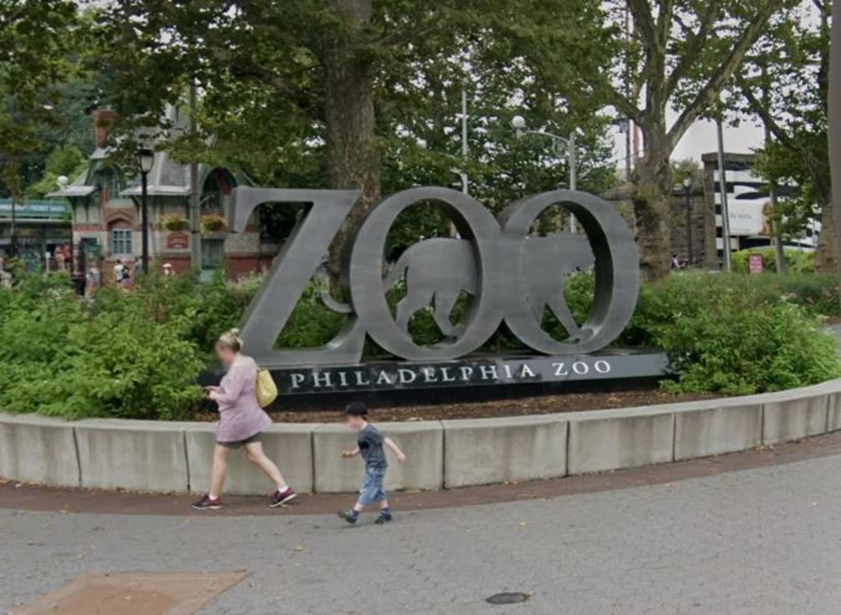 Philadelphia Zoo Just Launched 'Philly Zoo at 2' on Facebook Live