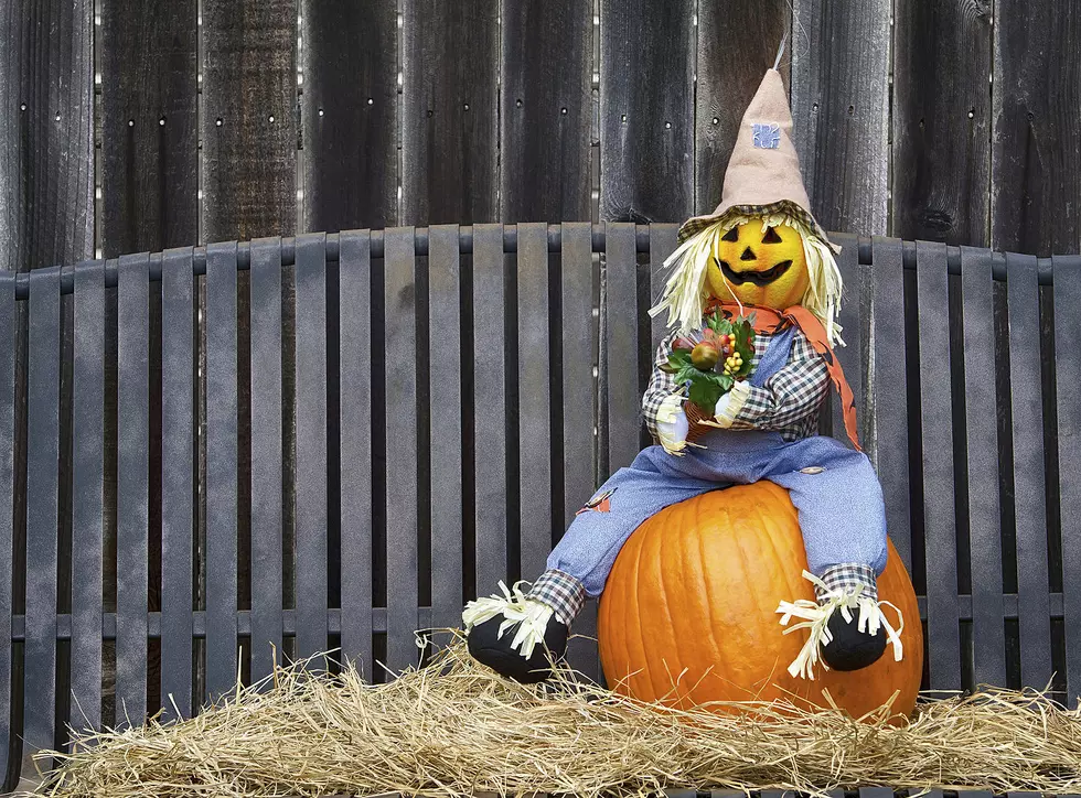 Peddler’s Village Scarecrow Festival Coming Soon