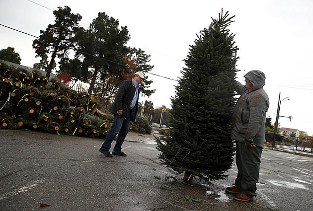 Lowe&#8217;s Will Deliver Your Christmas Tree this Year for Free
