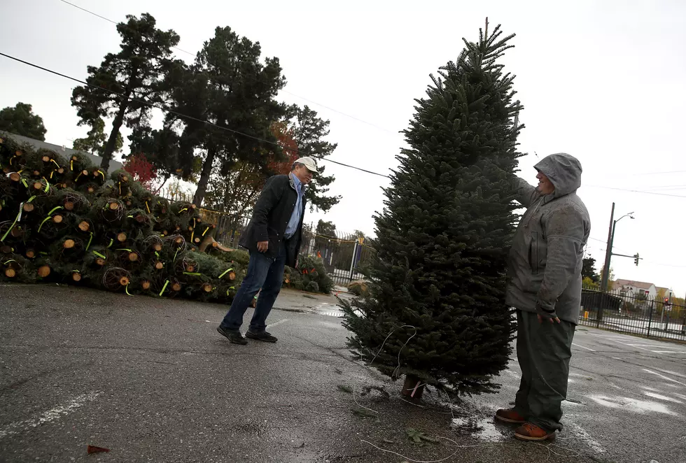 Lowe’s Will Deliver Your Christmas Tree this Year for Free