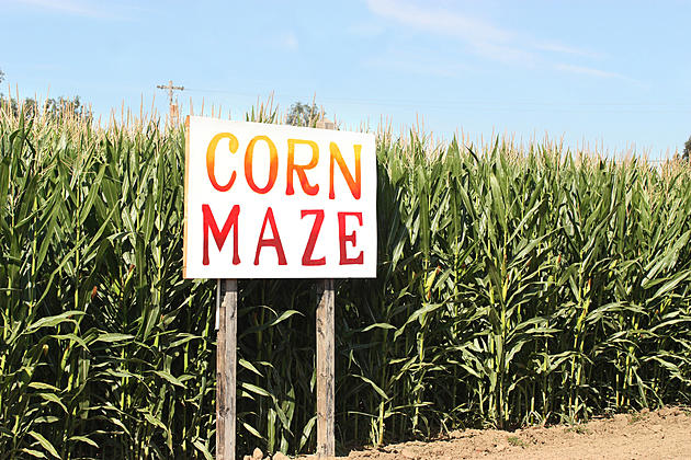 Walk Through New Jersey&#8217;s Longest-Running Corn Maze