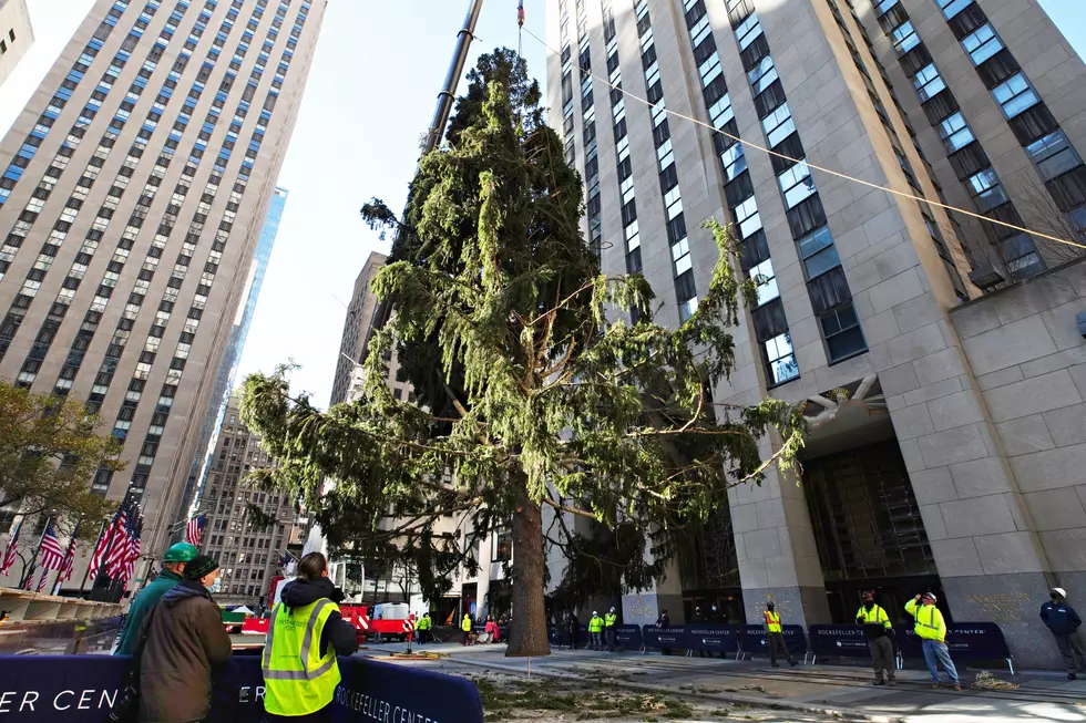 You&#8217;ll Need a Reservation to View the Rockefeller Center Christmas Tree