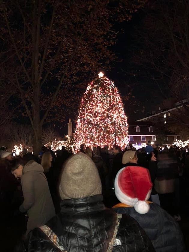 Palmer Square Christmas Tree Lighting Will be Virtual This Year