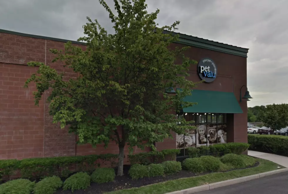 Pet Valu is Closing Every Store in the U.S.