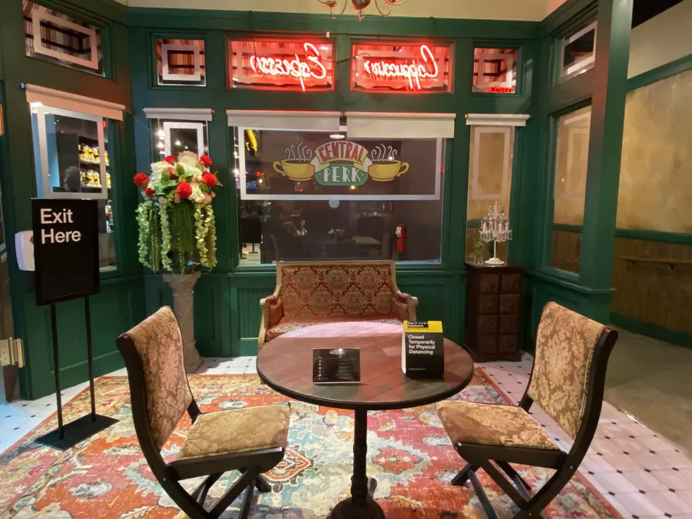 THE FRIENDS EXPERIENCE  THE ONE WITH CENTRAL PERK, NYC — Average Socialite