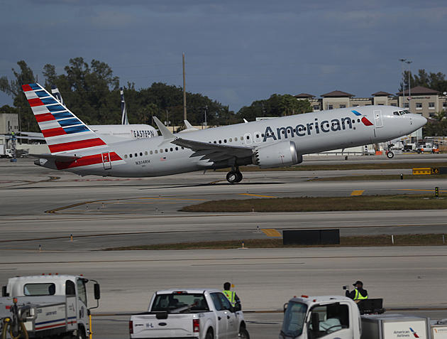 No More Emotional Support Animals on American Airlines