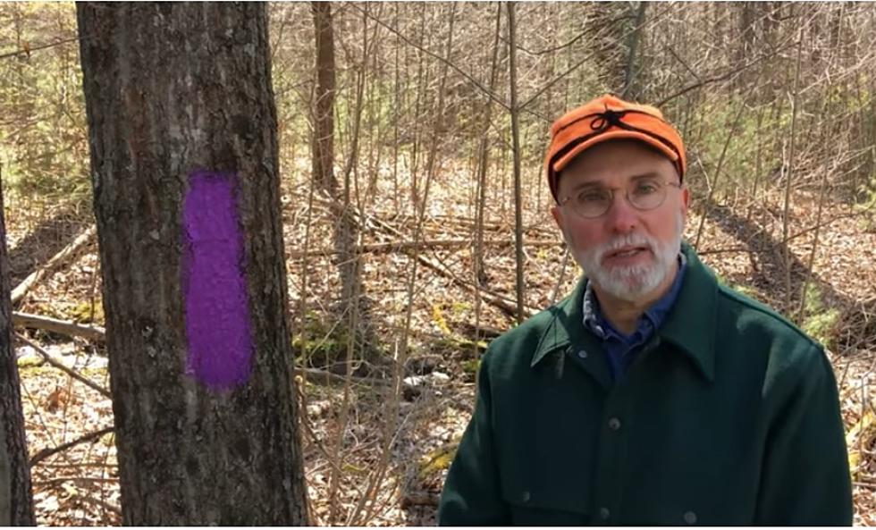 If You See Purple Paint While Hiking in PA, Leave Immediately