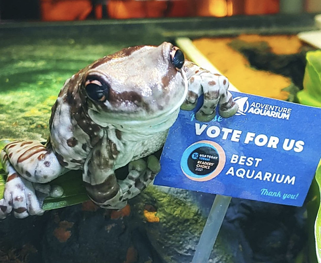 Adventure Aquarium Needs Your Help