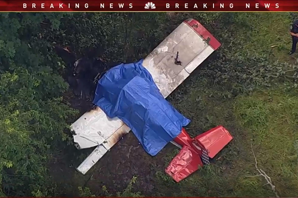 Doylestown Plane Crash – Pilot Killed in Buckingham Township Crash on Tuesday