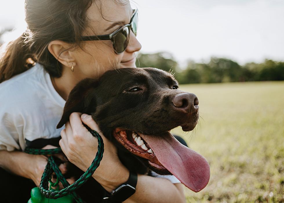 Dog Park Beer Garden Opening In Philly This Weekend