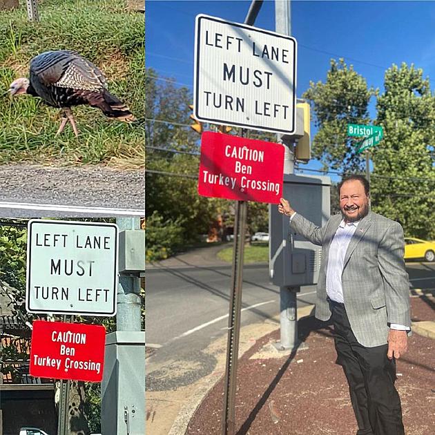 Look Out For The New Ben the Turkey Crossing Signs In Bensalem, Pa