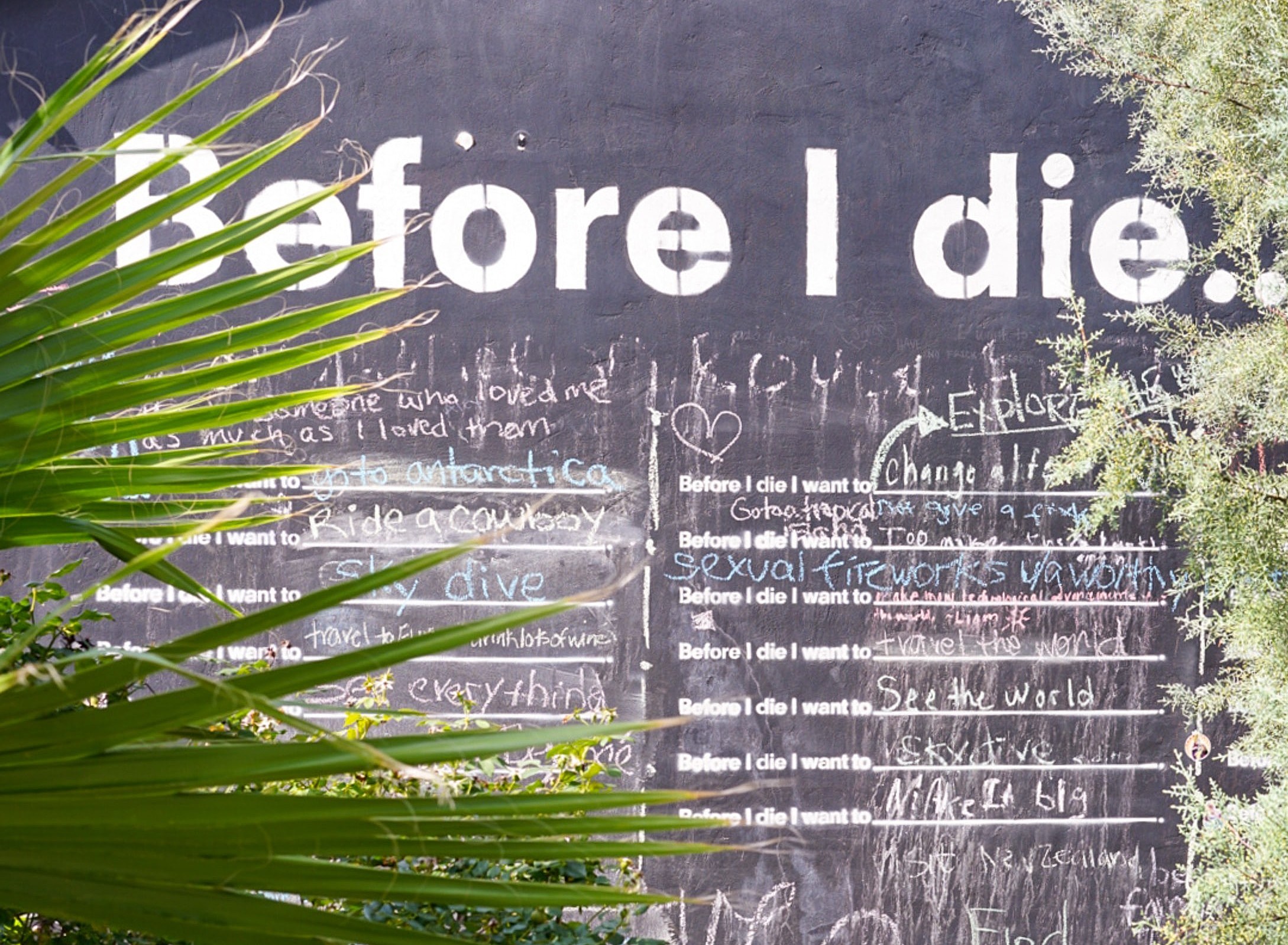 How Would You Fill In The Blank "Before I Die I Want To"