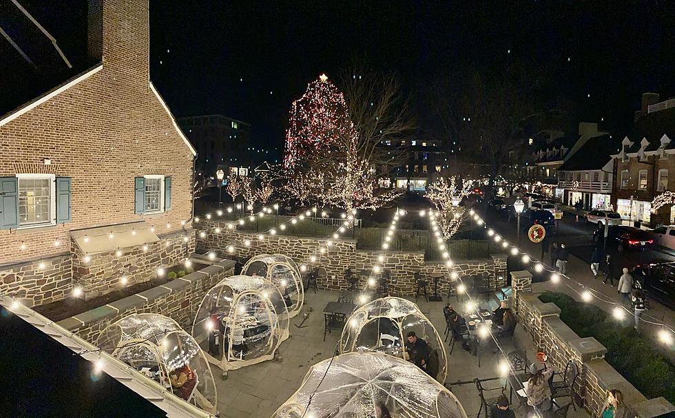 The Igloos Are Back in Palmer Square, Princeton, NJ