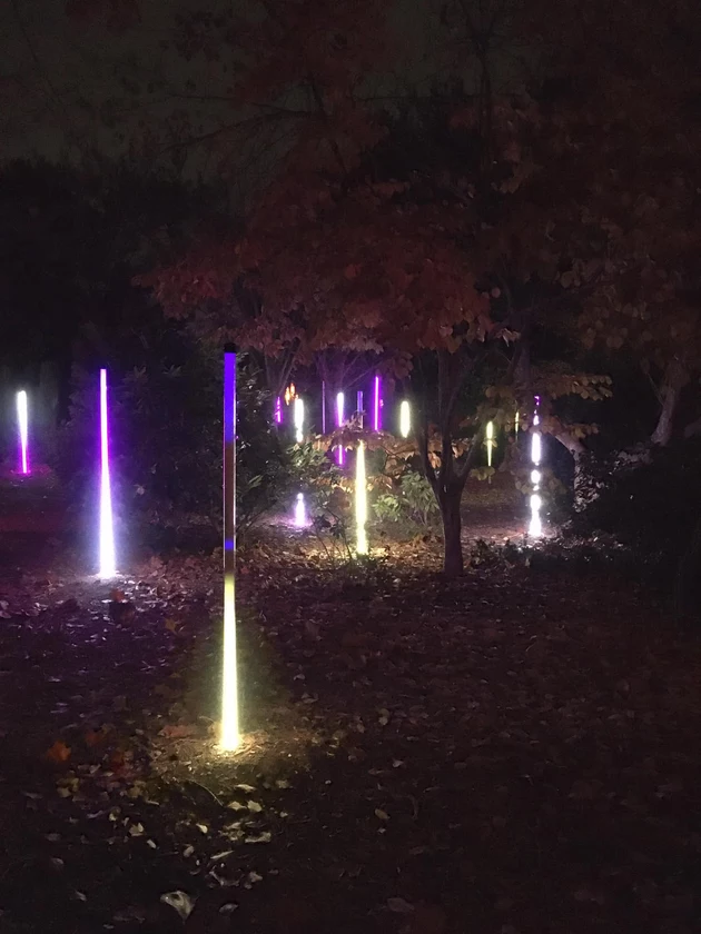 Night Forms Light Show at Grounds for Sculpture in Hamilton, NJ