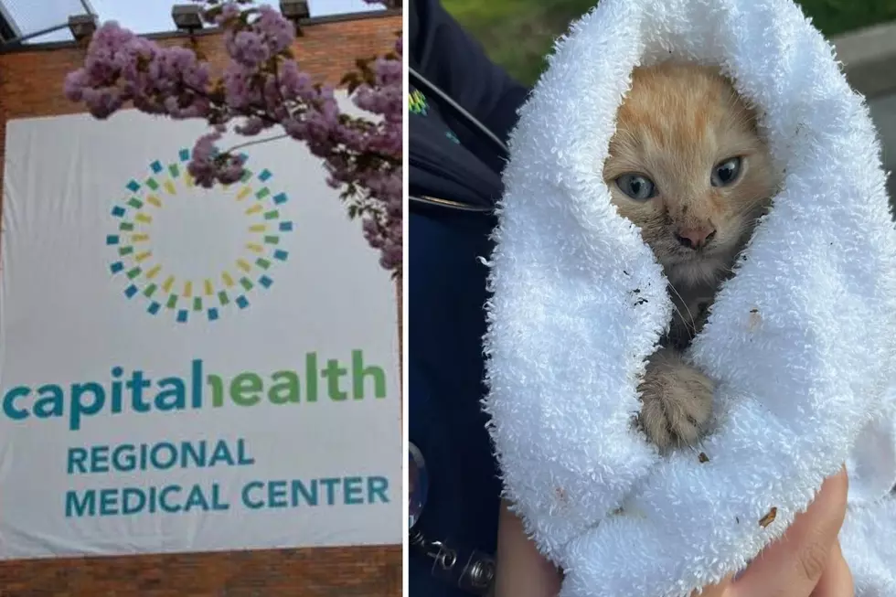 Trenton, NJ Nurses Save A Kitten Stuck In Sewer Grate