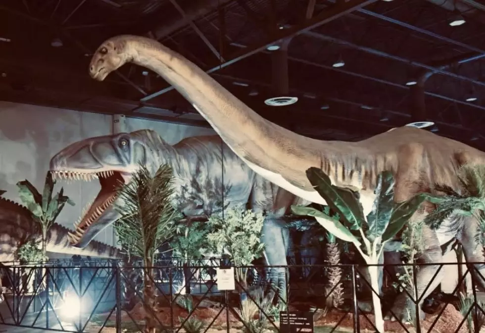 LOOK: Jurassic Quest Starts Friday at Oxford Valley Mall in Langhorne, PA