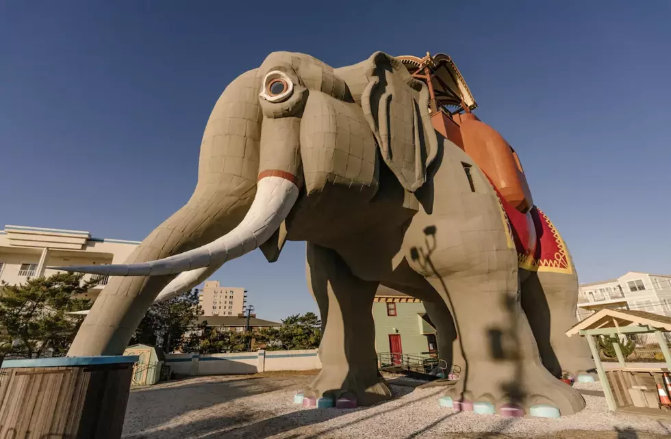 You Can Stay In This Elephant Airbnb That&#8217;s 5 Miles From Atlantic City!