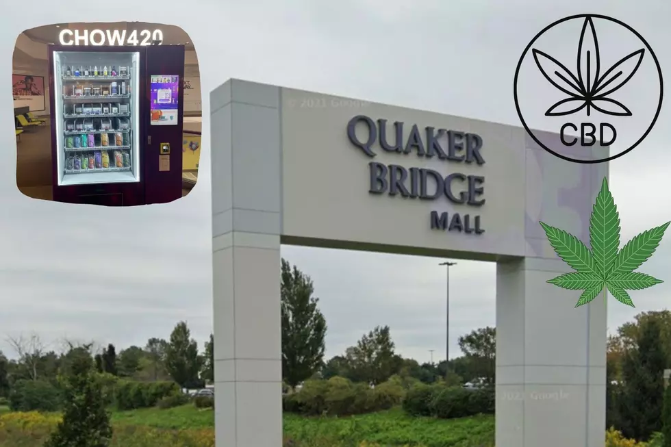Purchasing THC and CBD Made Easy By The Quaker Bridge Mall
