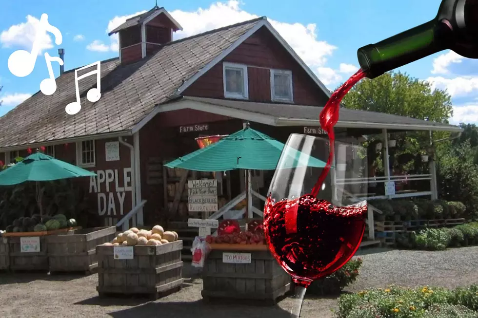 Listen To Music and Sip Some Wine At Terhune Orchards Before It’s Gone!