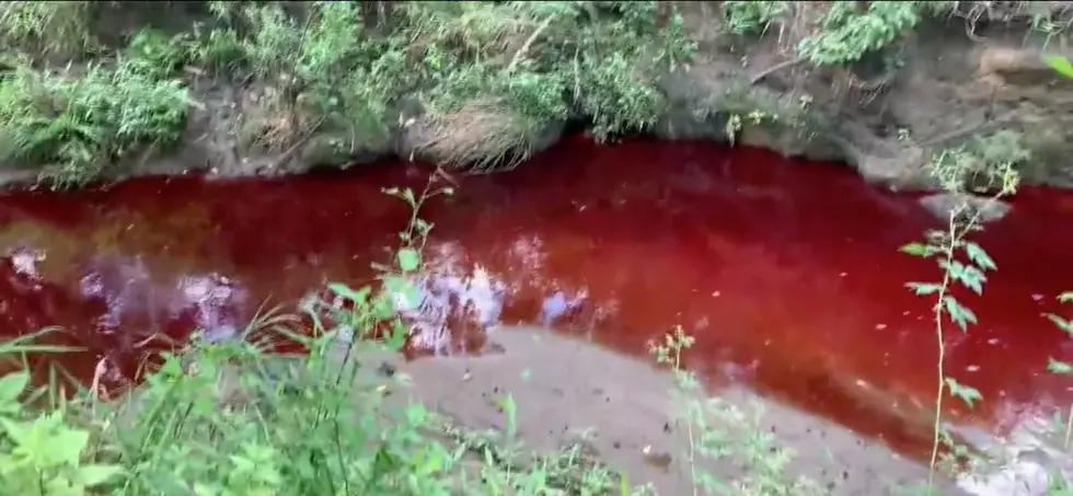 A River of Red! Pennsauken NJ Creek Turns Red After Accidental Food Dye Spill (PICTURES)