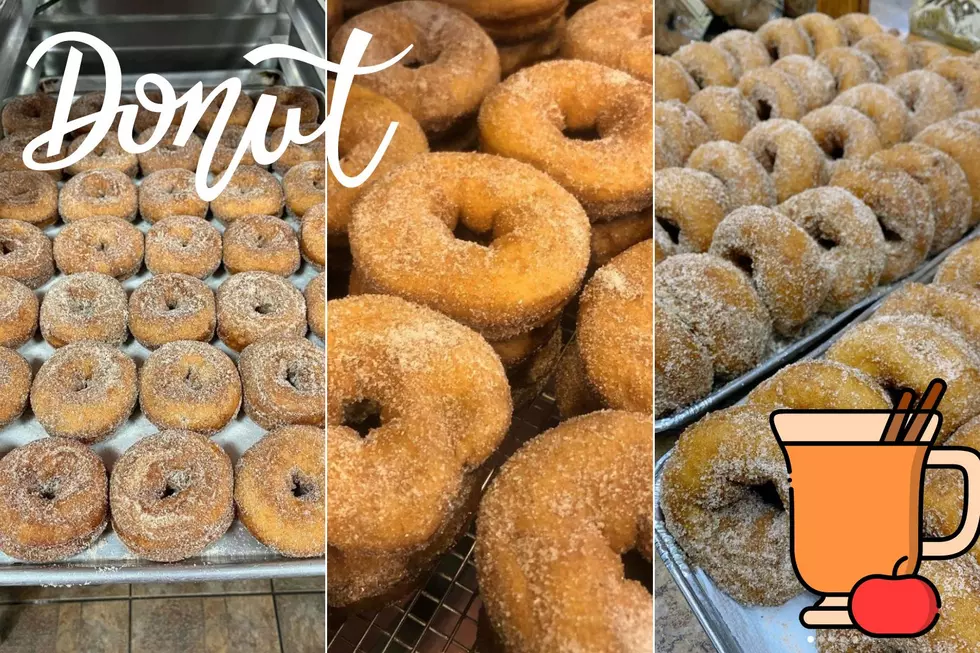 Here Are 8 Places to Get Amazing Apple Cider Donuts in Central NJ