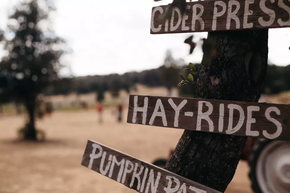 Here Are 6 South Jersey Hayrides  To Check Out This Fall