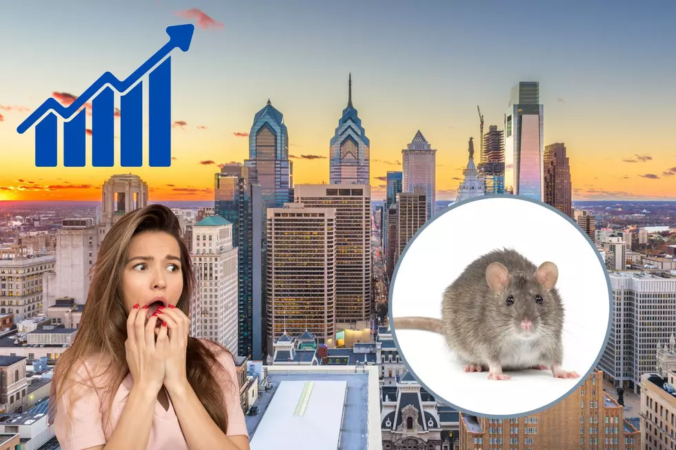 &#8220;Rats!&#8221; Philadelphia Just Made Top 10 in List of 50 Rattiest Cities in U.S.
