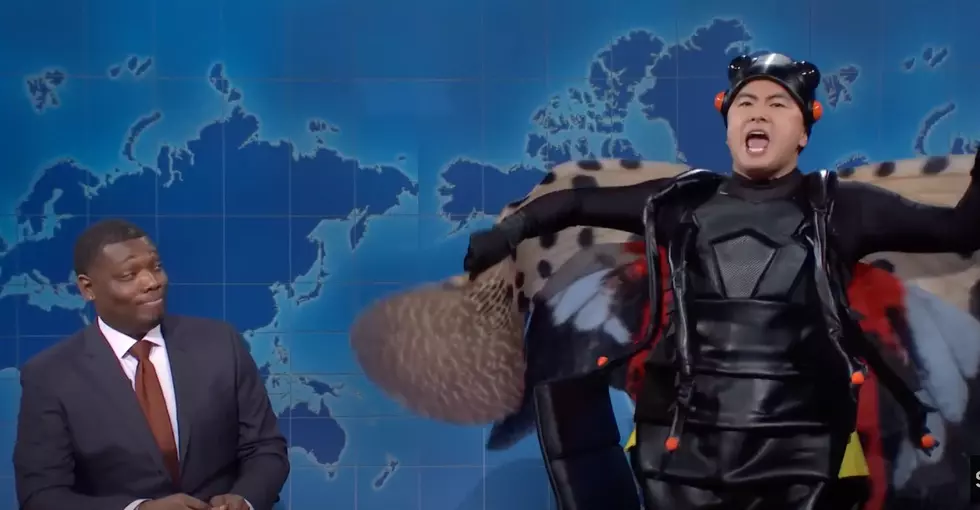 LOL: Watch SNL&#8217;s Bowen Yang Impersonate an Obnoxious Spotted Lanternfly