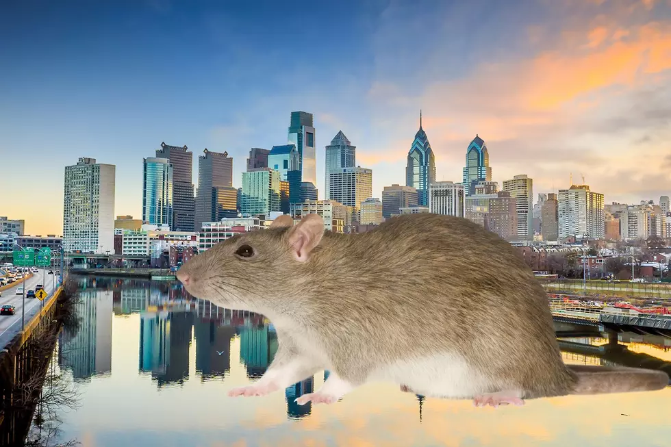 Philadelphia, PA Ranked On Rattiest U.S Cities List