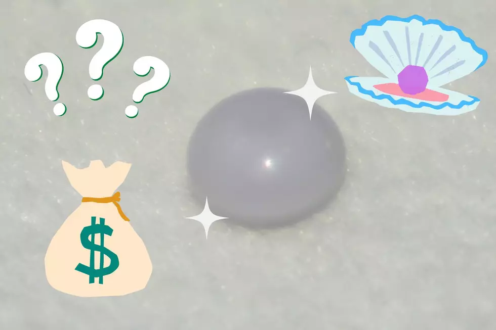 WOW! Remember The Rare Purple Pearl Found at Rehoboth Beach?  Here&#8217;s What It&#8217;s Worth!
