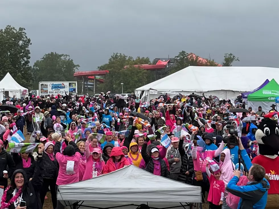 Komen NJ’s More Than Pink Walk at Six Flags in Jackson, NJ